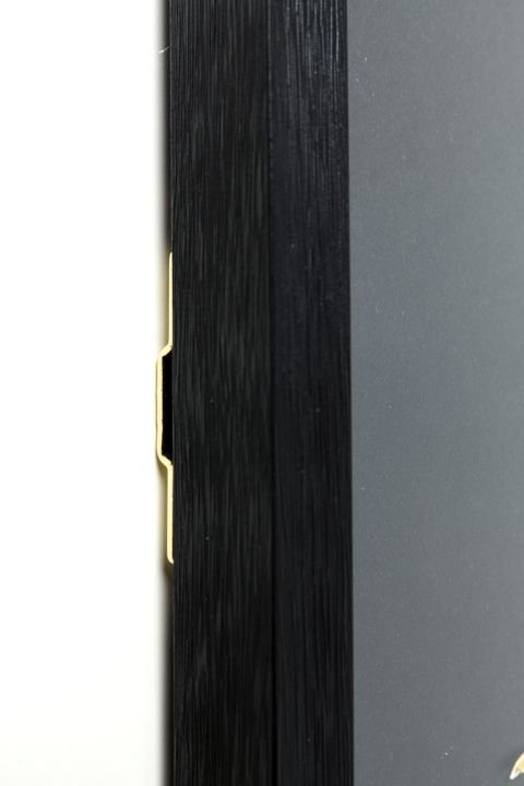 KARE Bild Frame Art Betta Fish 65538