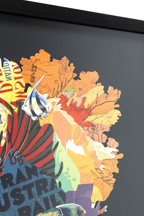 KARE Bild Frame Art Betta Fish 65536