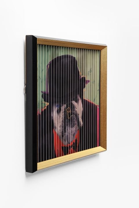 KARE Bild Frame Art 3D French Dog 60877