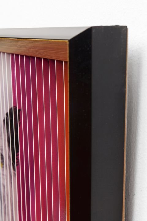 KARE Bild Frame Art 3D French Dog 60877