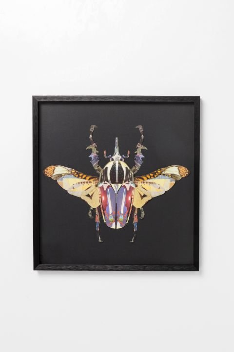 KARE Bild Frame Art Beetle 60x60cm 65817