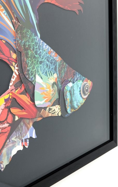 KARE Bild Frame Art Betta Fish 65538