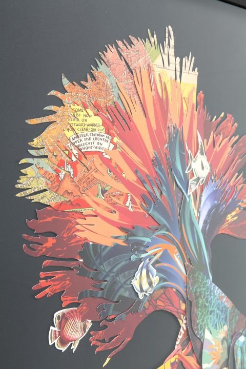 KARE Bild Frame Art Betta Fish 65538