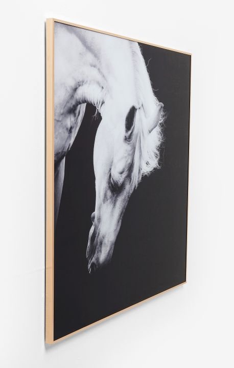 KARE Bild Frame Alu Proud Horse 61463