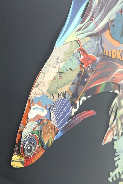 KARE Bild Frame Art Betta Fish 65536