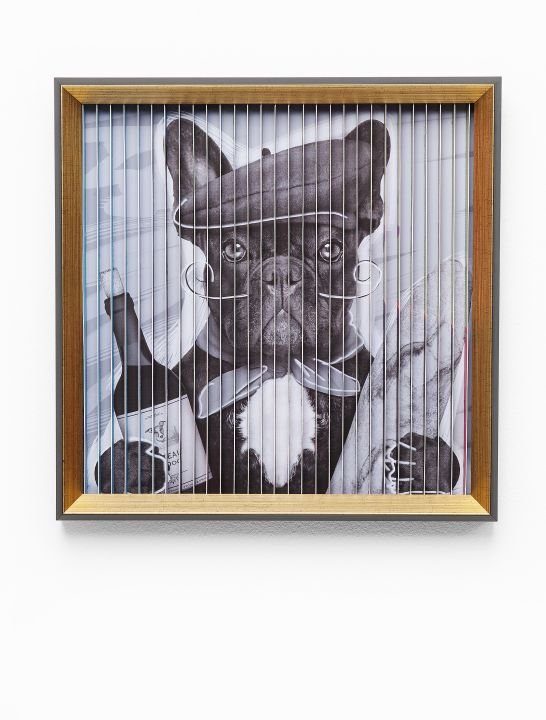 KARE Bild Frame Art 3D French Dog 60877